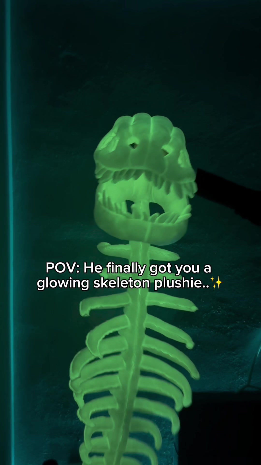 @TheGodzillaSnug