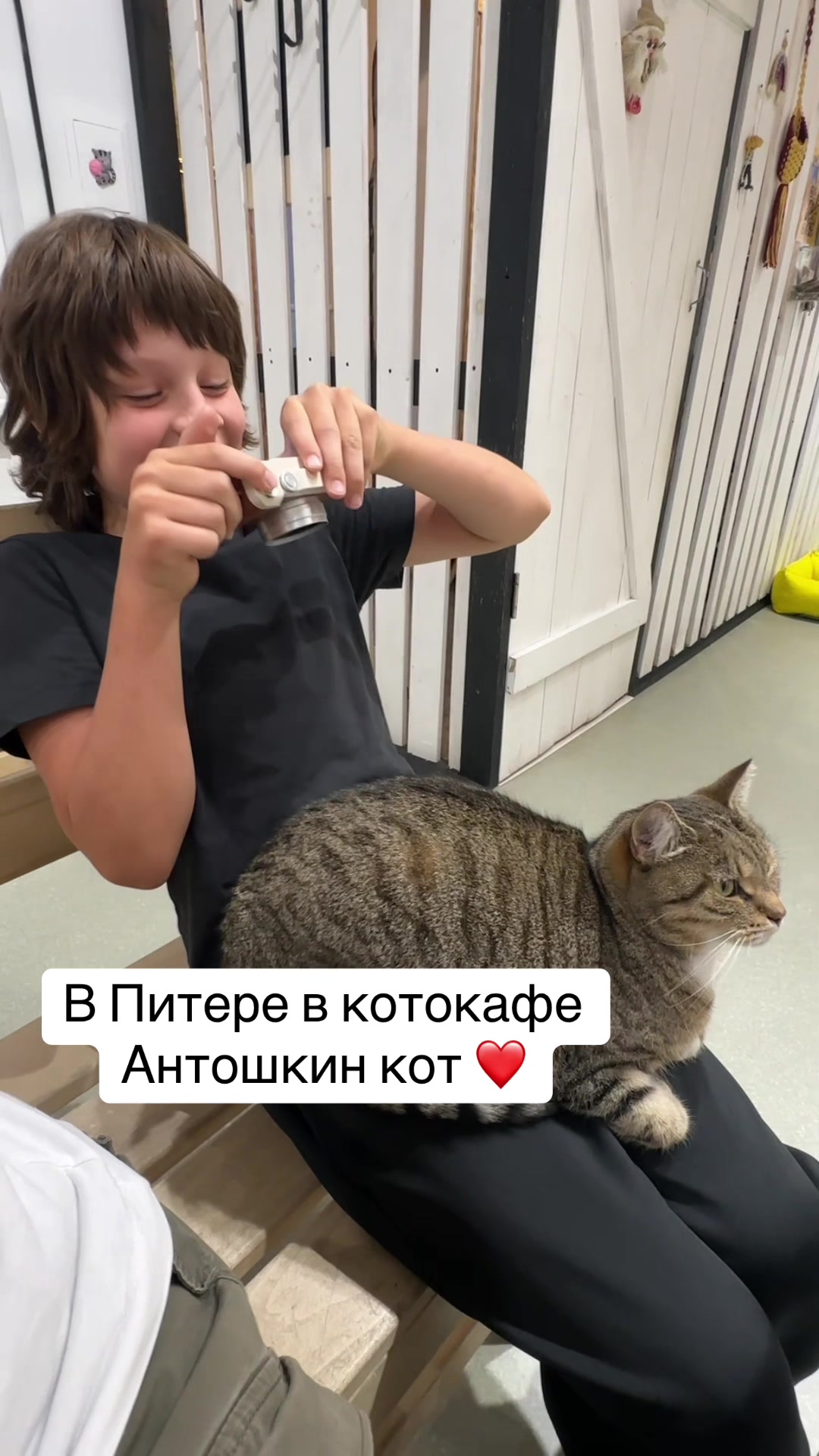 @aakashirin