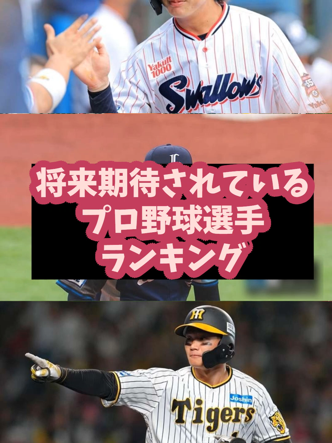@user2817668202757