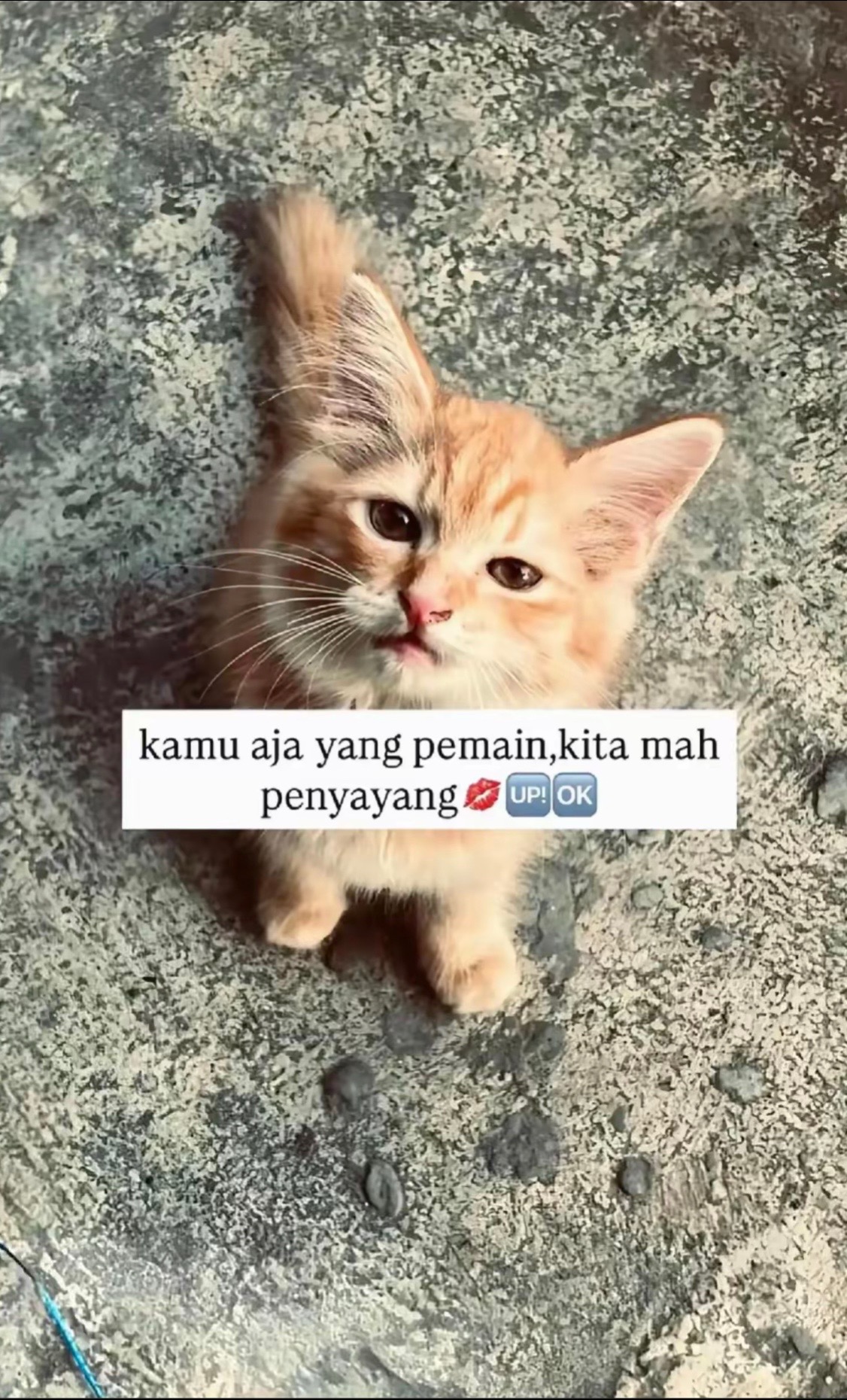 @NADZMI