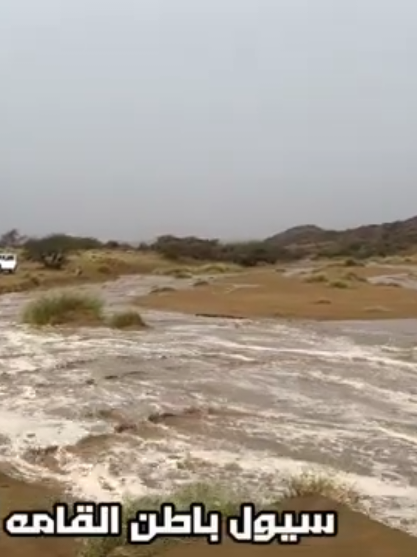 @آبووسآم برق آلَساحل⚡️⛈️