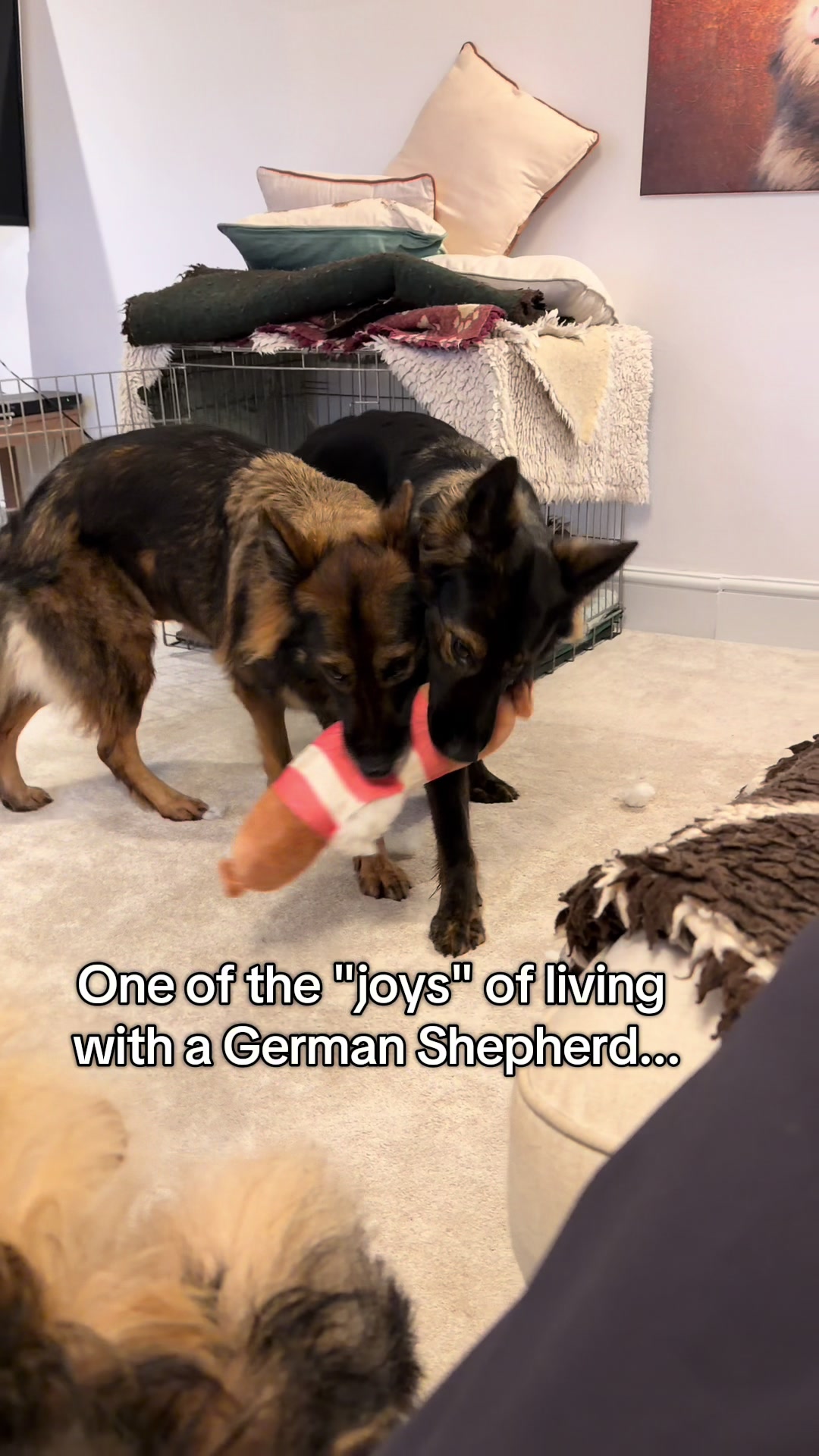 @TheGSDhubwithjennygould