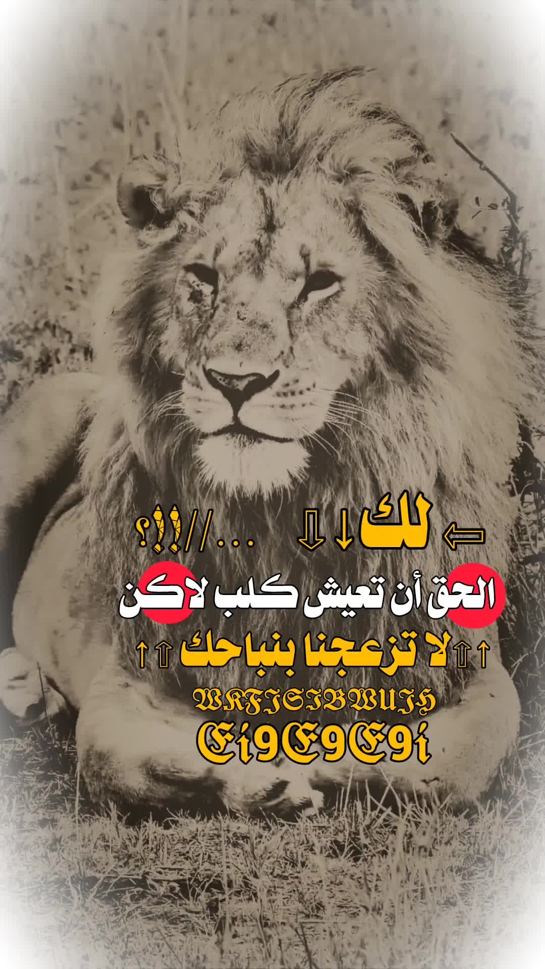 @﮼↵⦅⋮الـ²͢⁰͢³͢⁰͢͢ـملك📮⋮⦆ᯓ