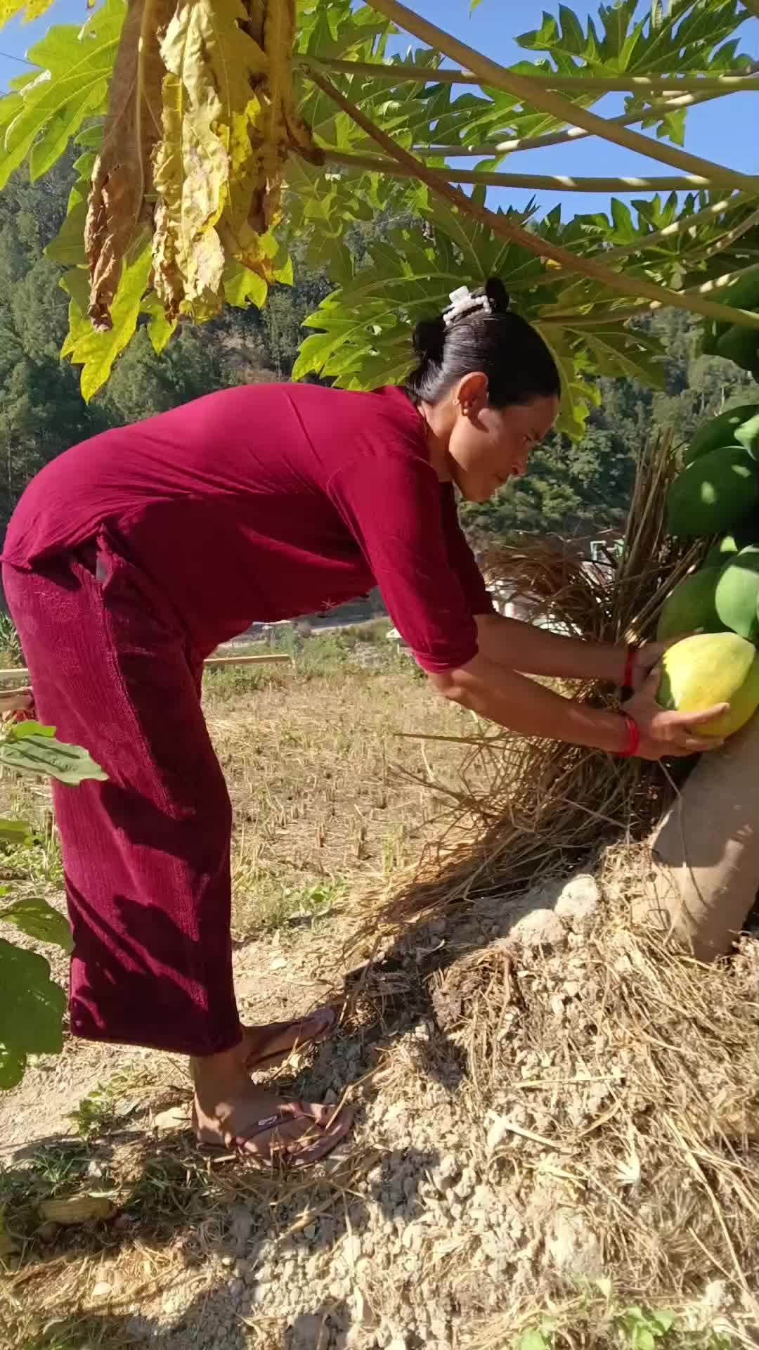 @Saraswati Adhikari