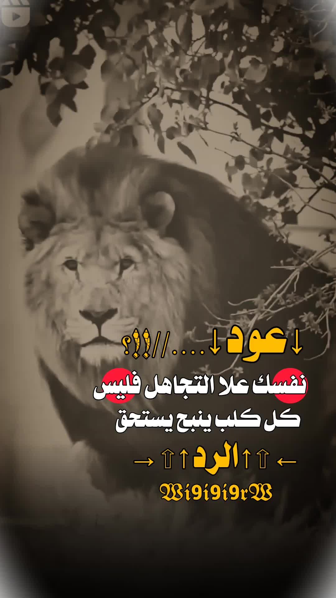 @﮼↵⦅⋮الـ²͢⁰͢³͢⁰͢͢ـملك📮⋮⦆ᯓ
