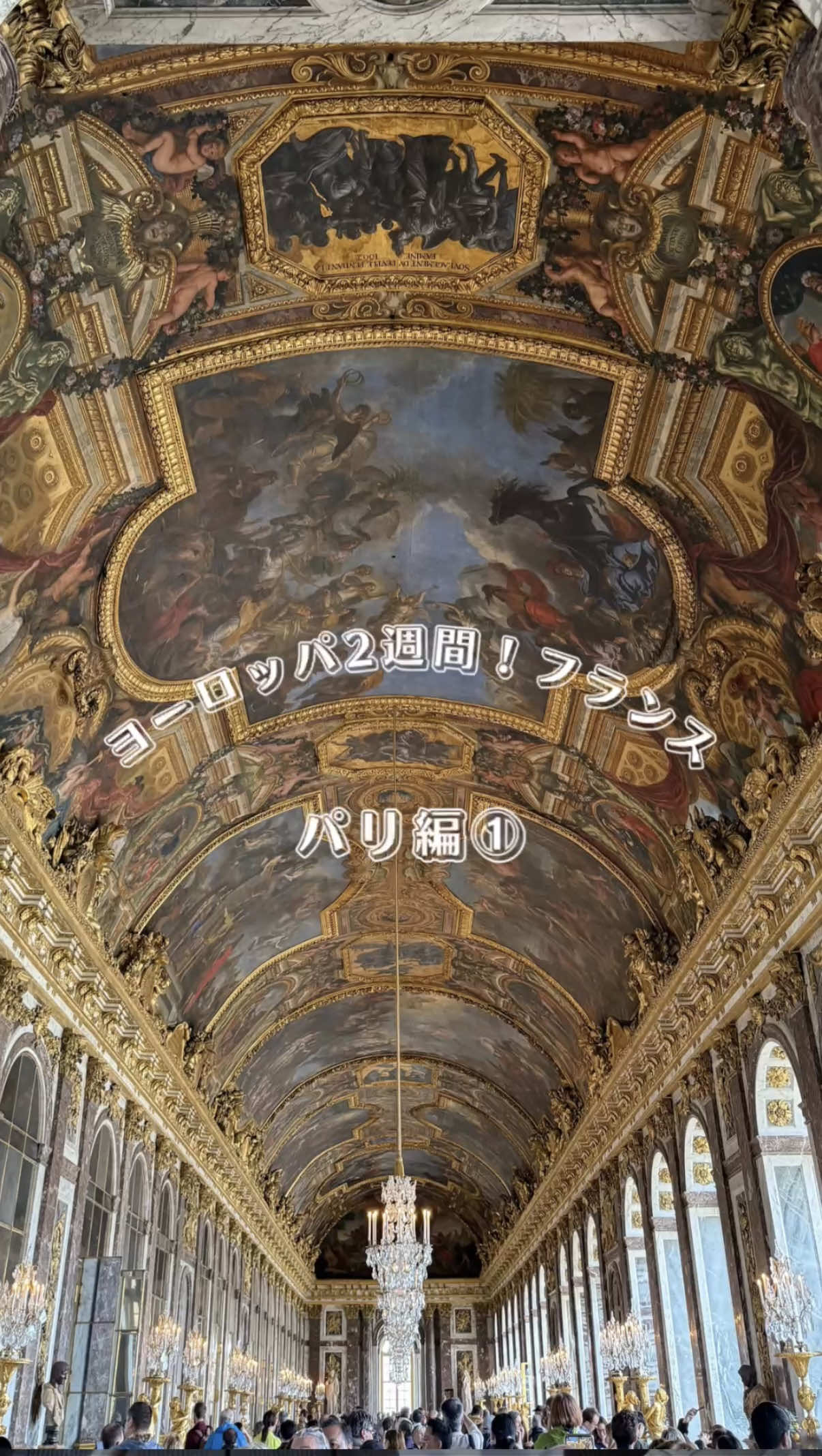 @Shio | 30歳気まま旅🧳
