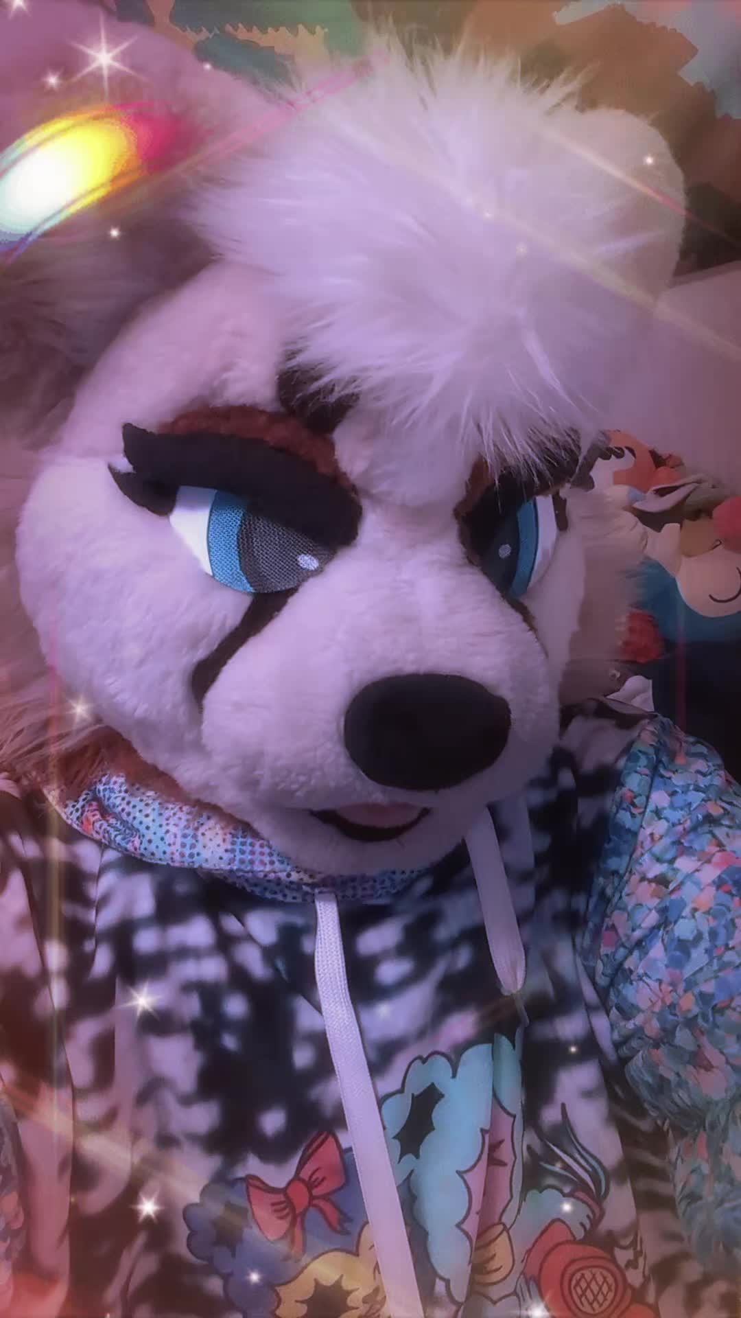 @๐ฆ Harper ๐ฆ ๐ FWA'26