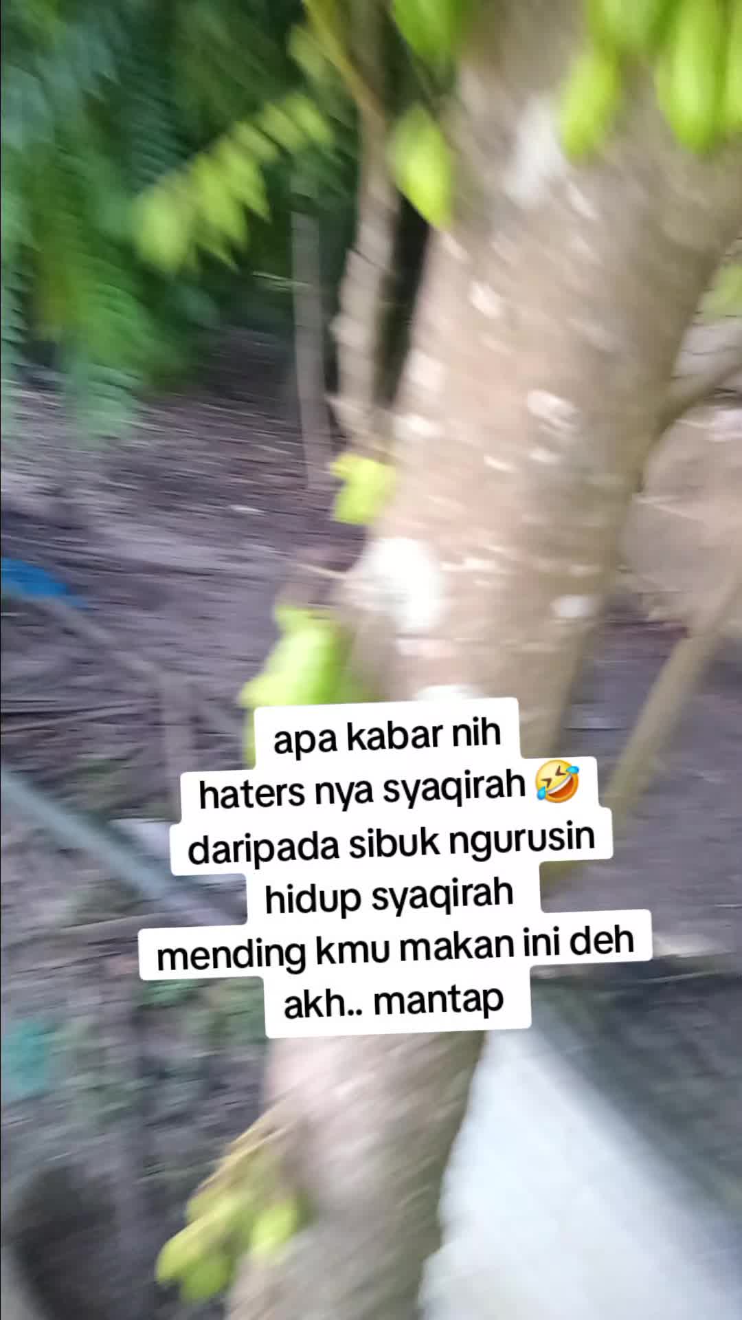 @lulu