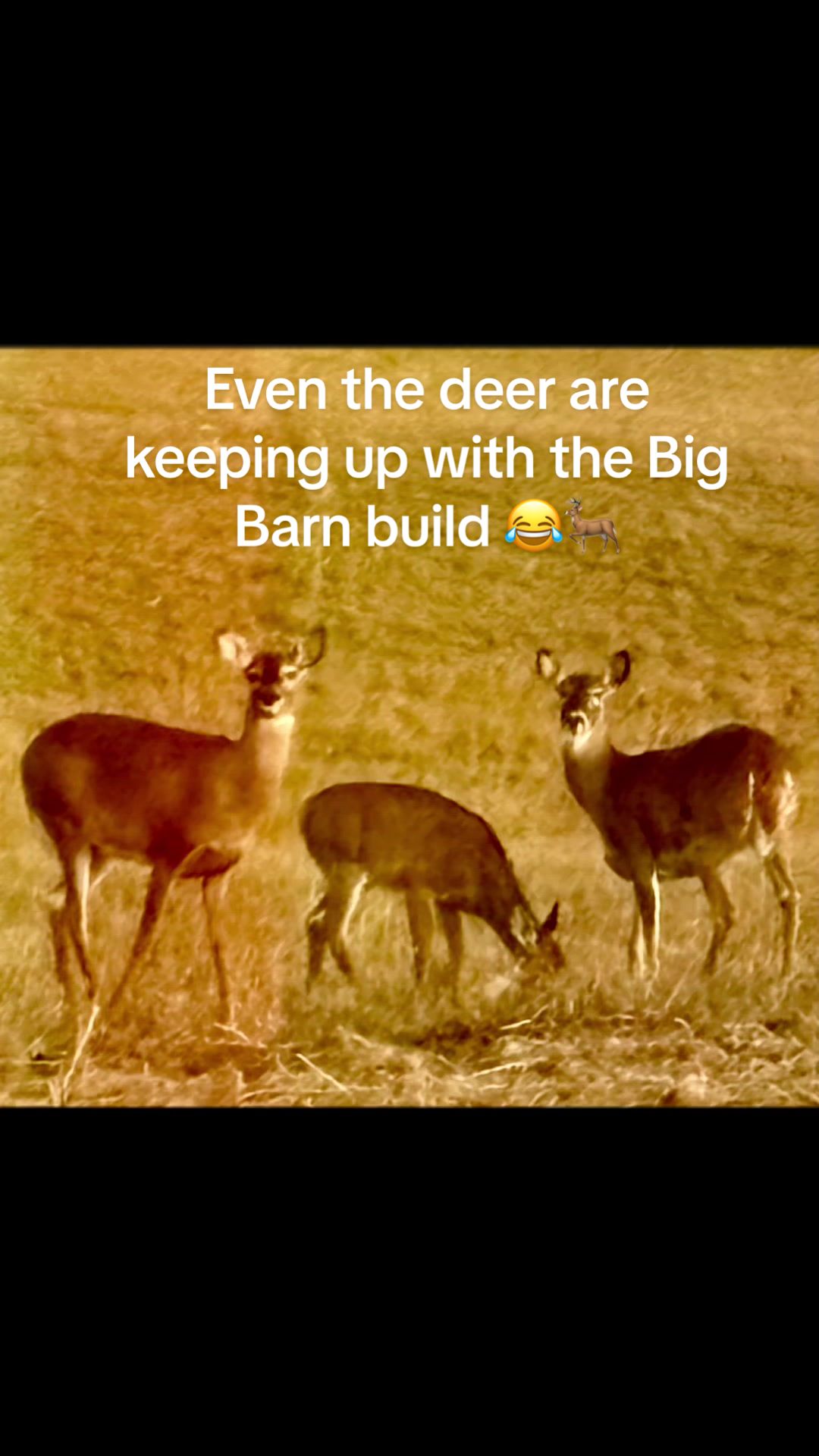 @BigBarnDreams