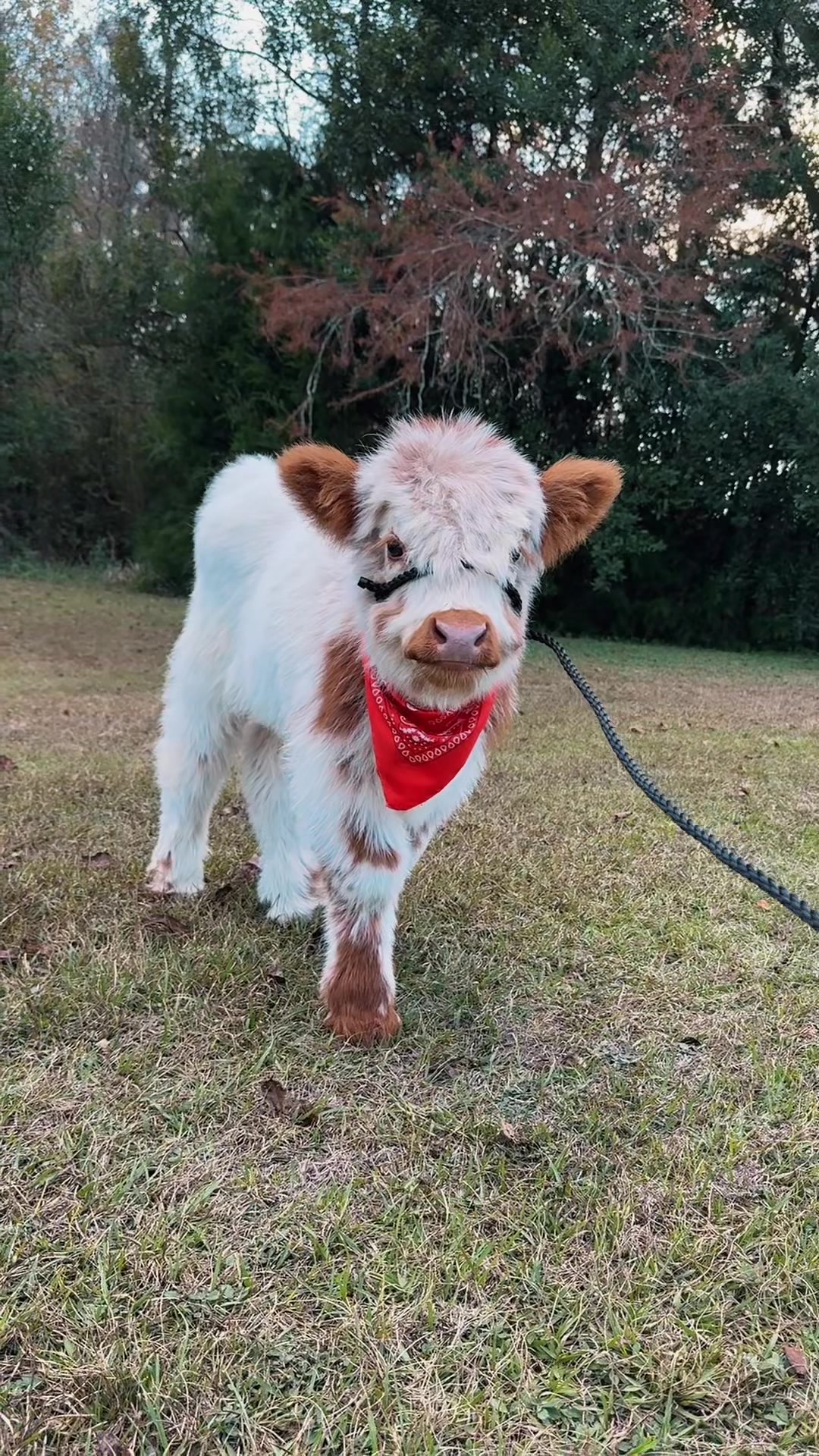 @WildernessRanch
