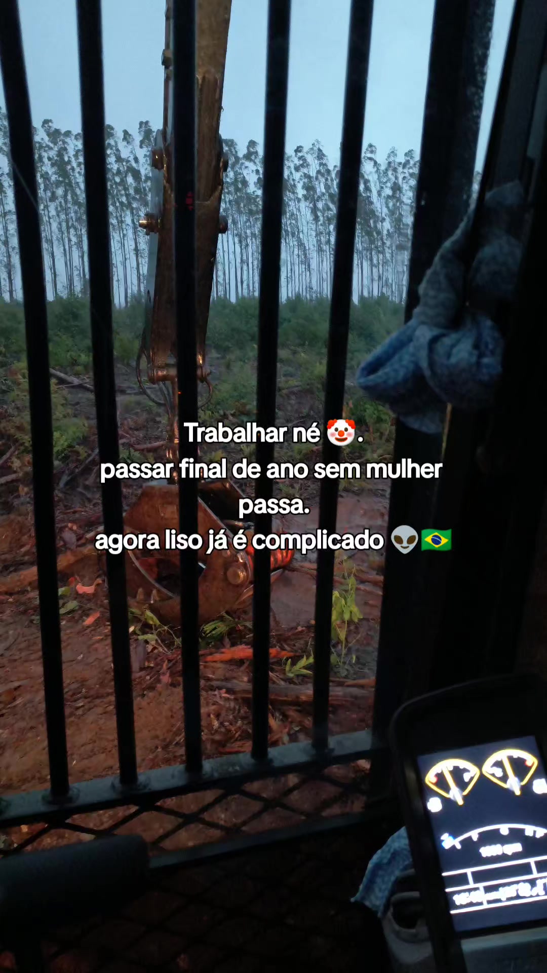 @Thales Almeida 🦾🌲