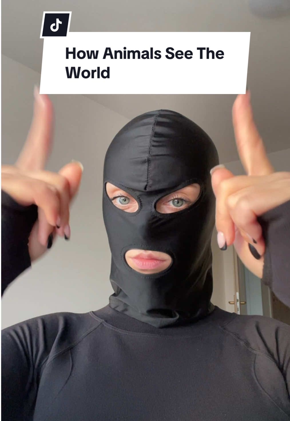 @ItsTessie