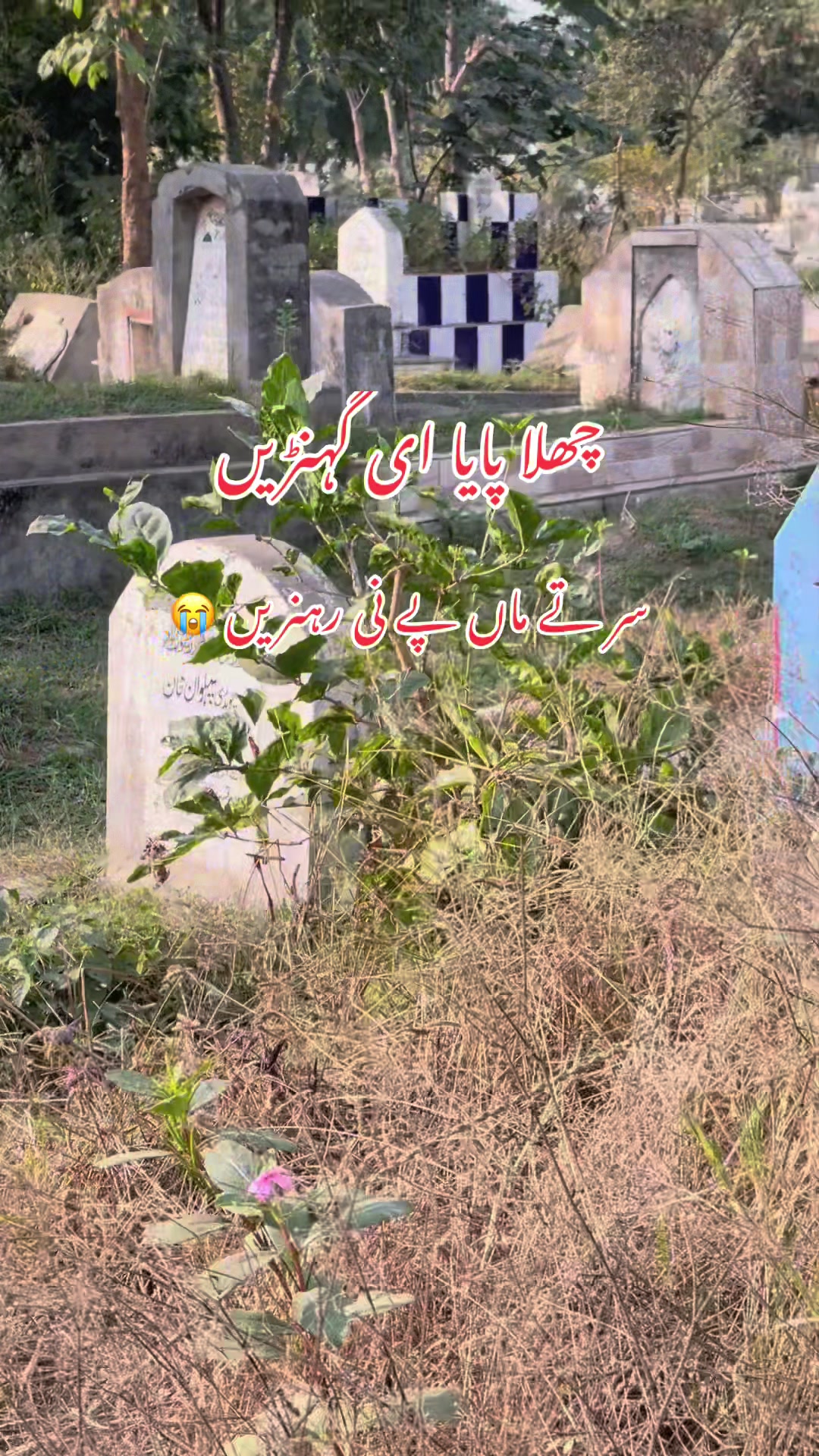 @Bushra Ch
