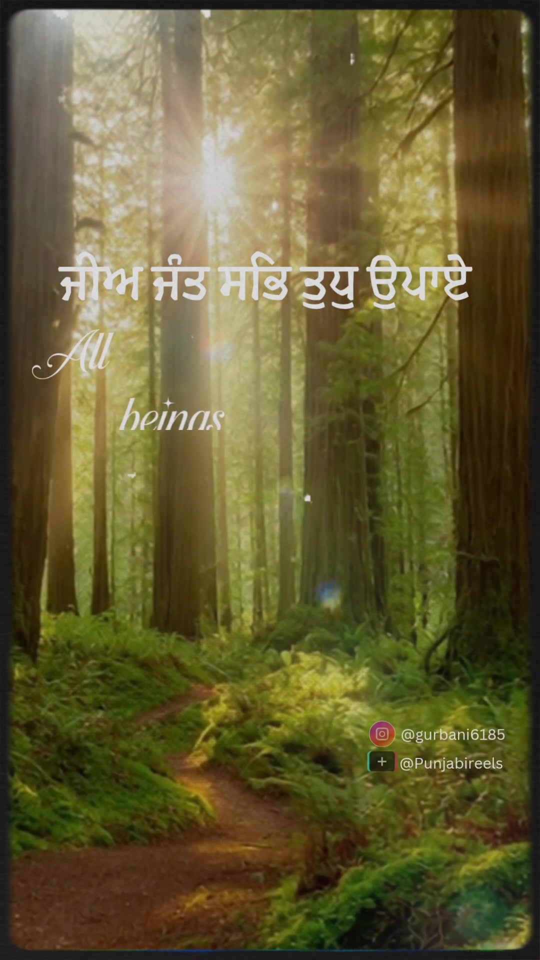 @Punjabireels