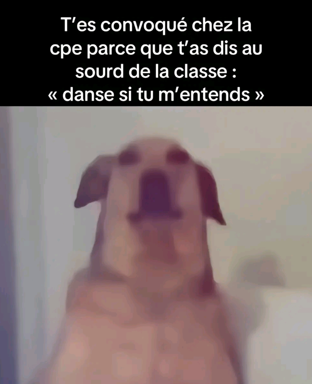 @🚨Aguain🗿