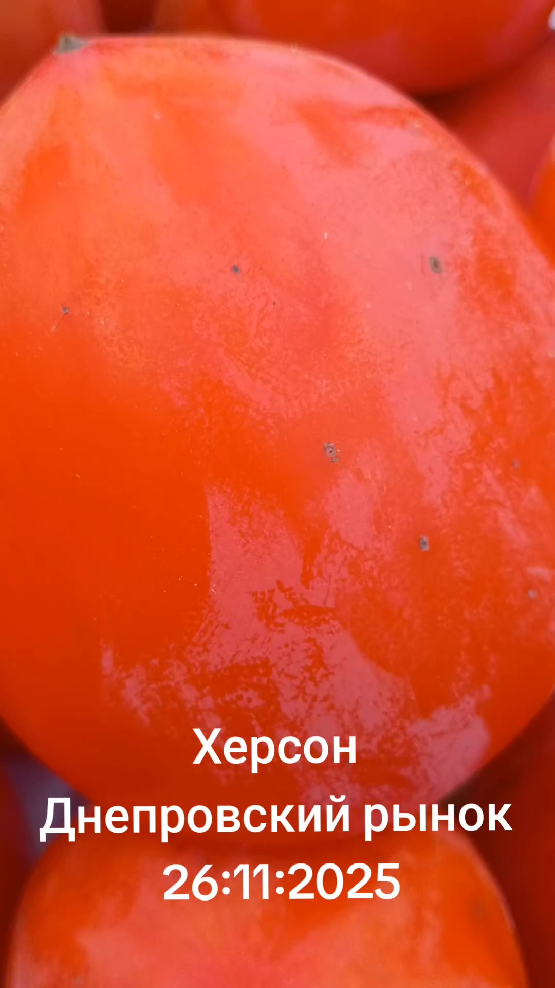 @IOSIF99999