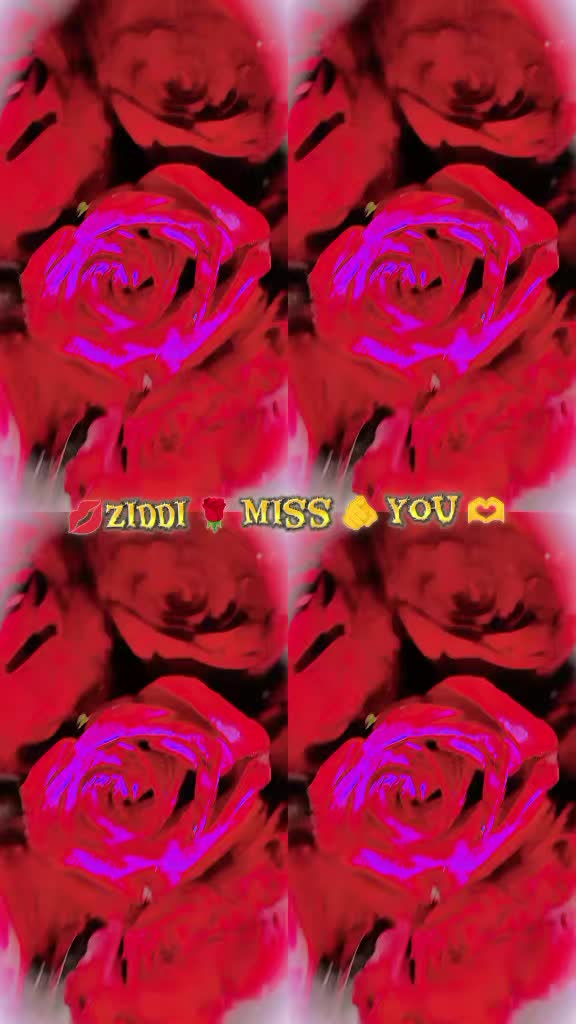 @👑MylLoveZiddi31👑