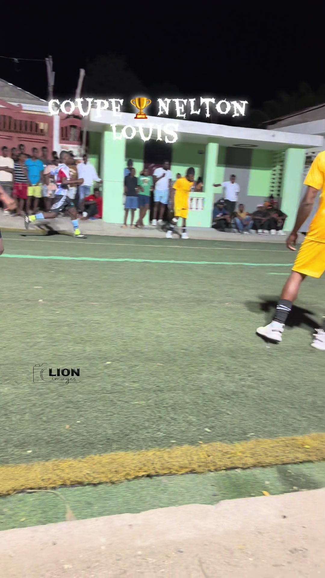 @LION IMAGES🦁