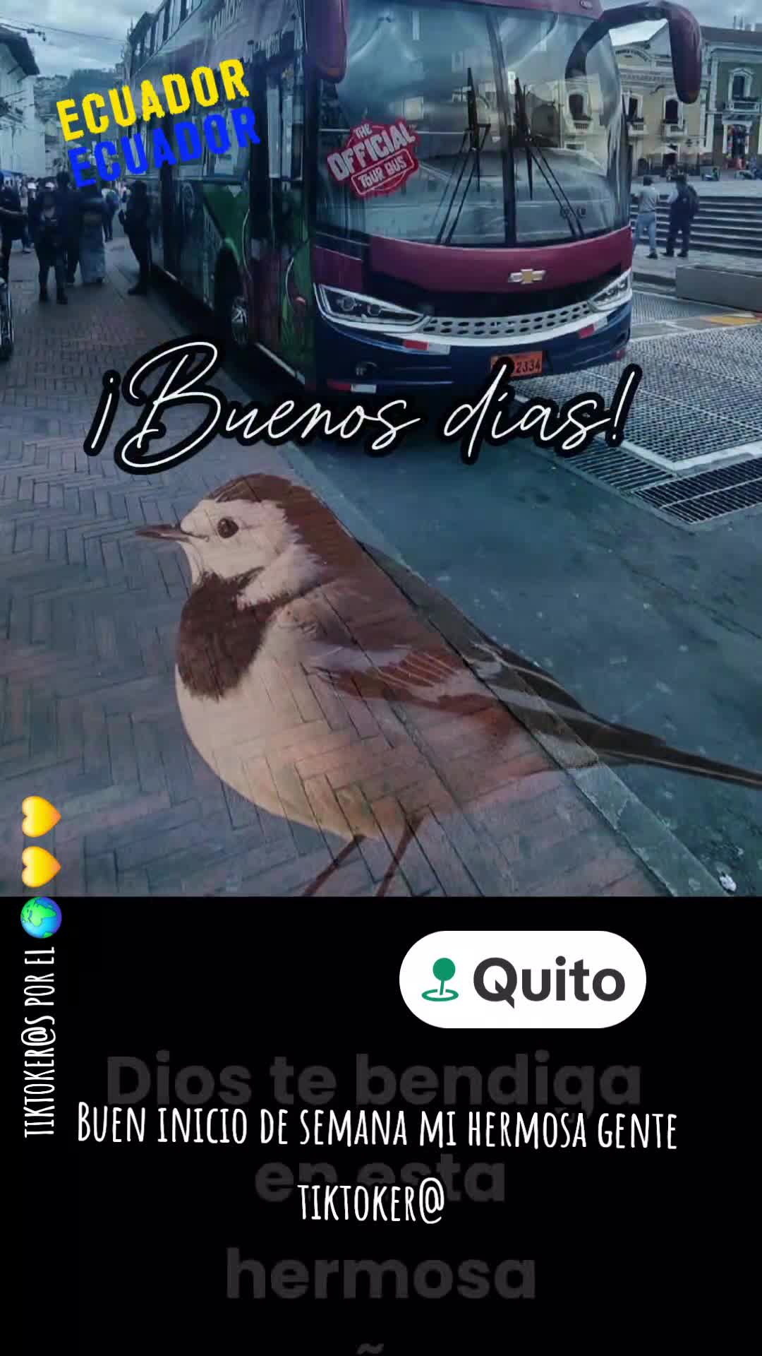 @M&oacute;nica Del Roc&iacute;o
