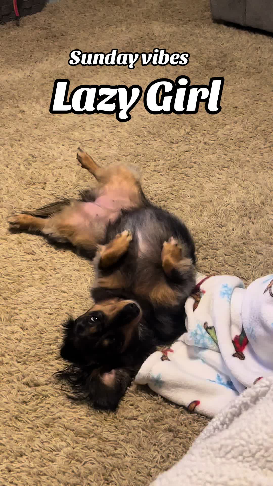 @snackdealer80