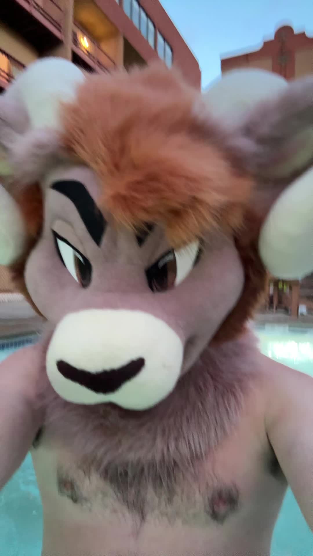 @SamTheRam