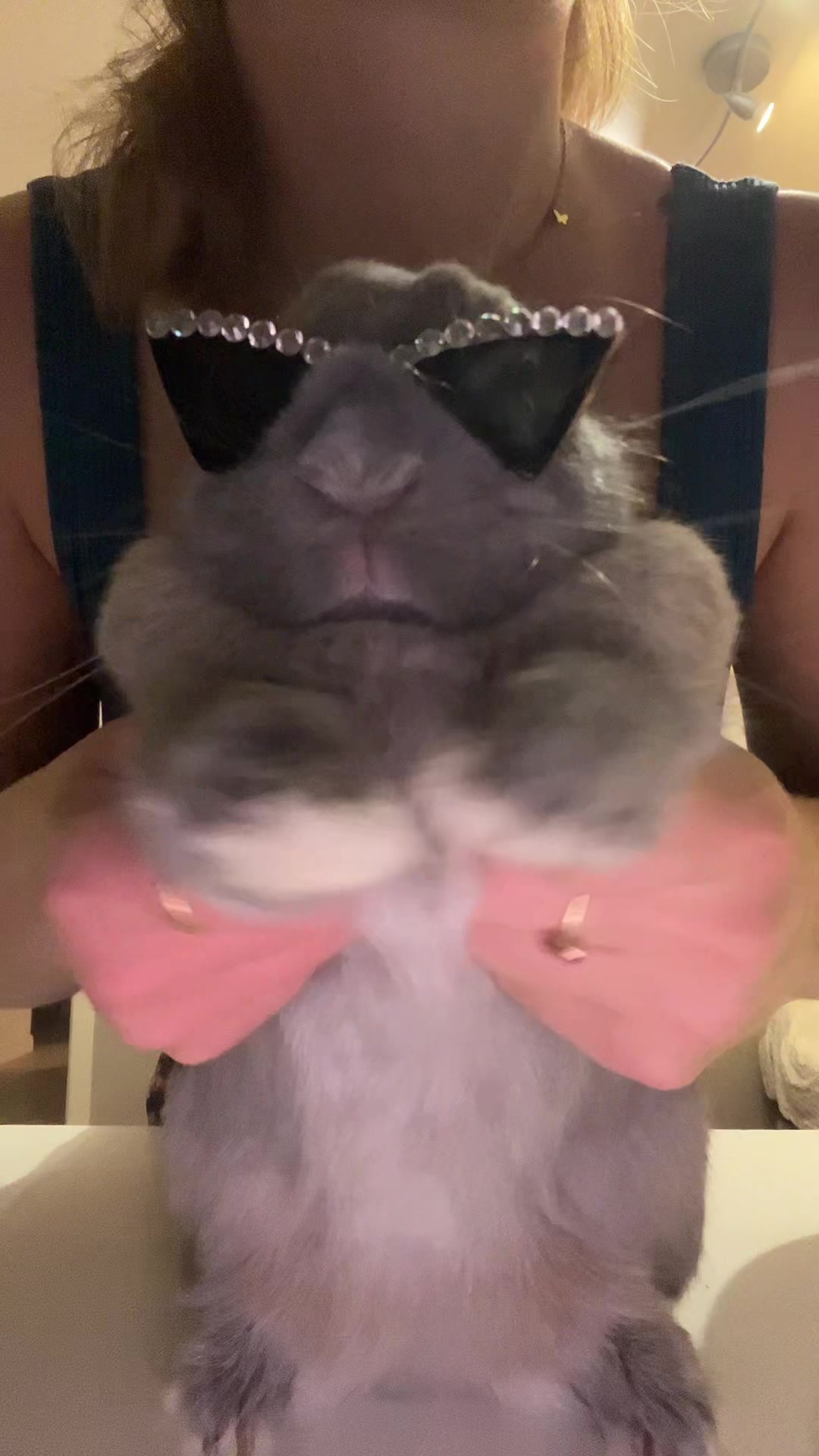 @PantoufleLapin
