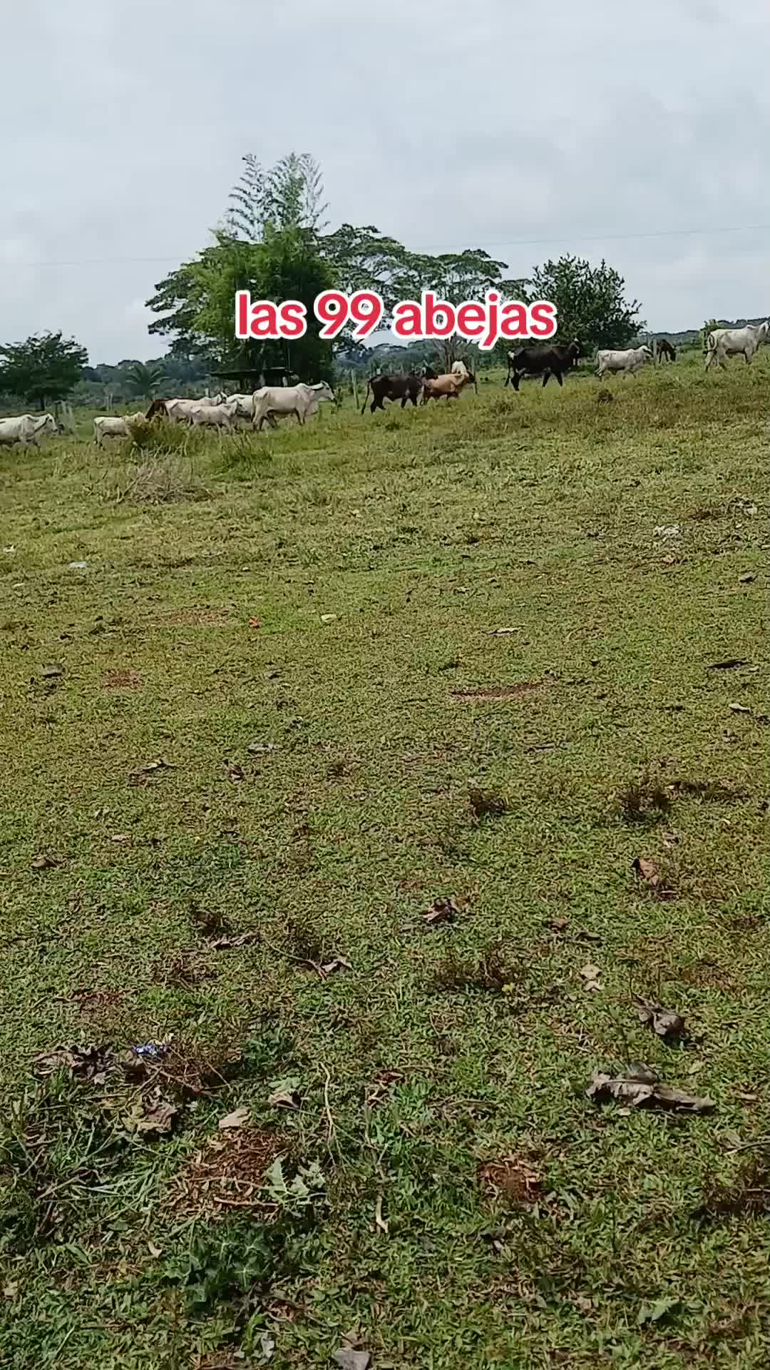 @NATURALEZARANCHO