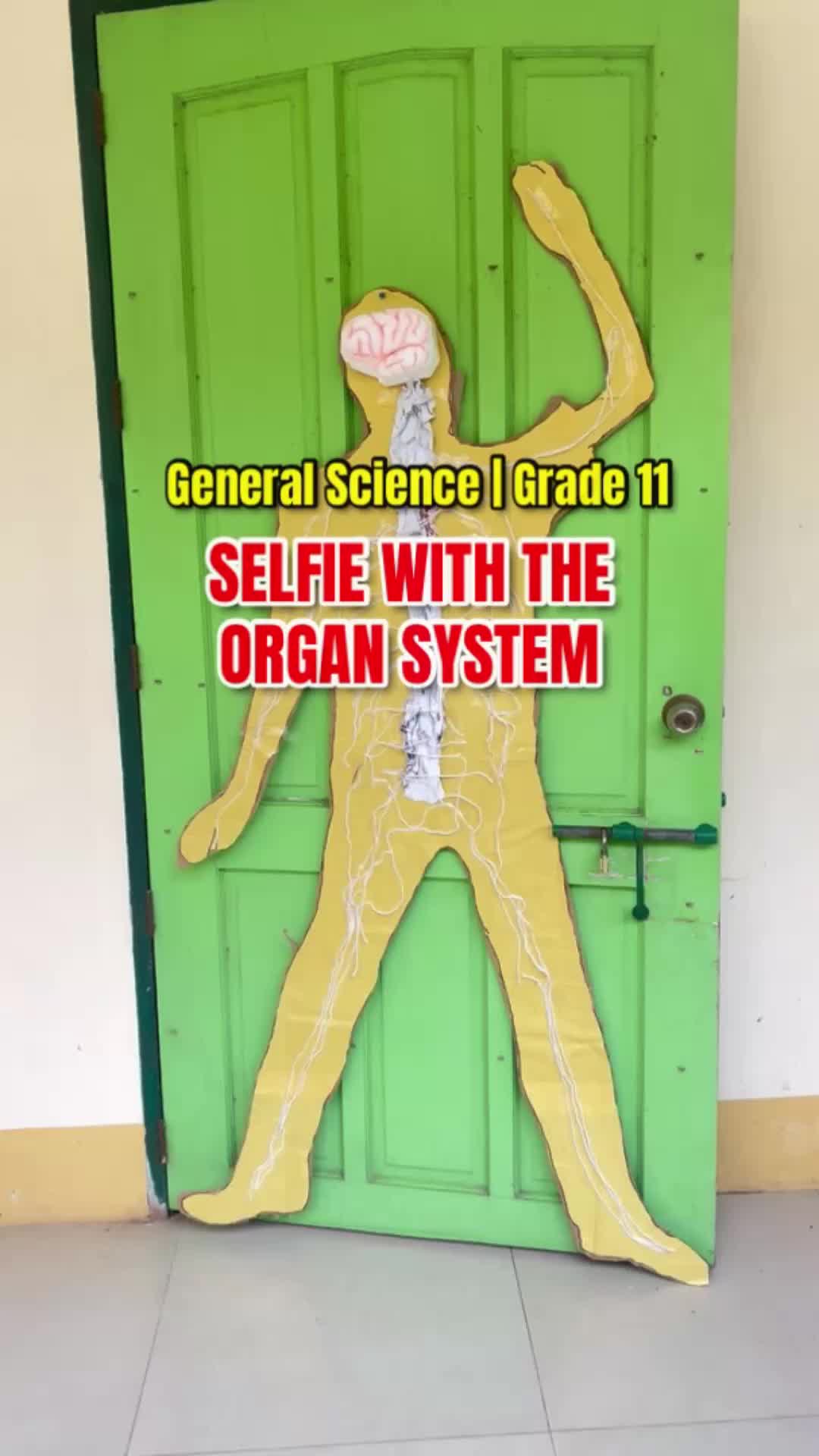 @Saturn Sensei 先生
