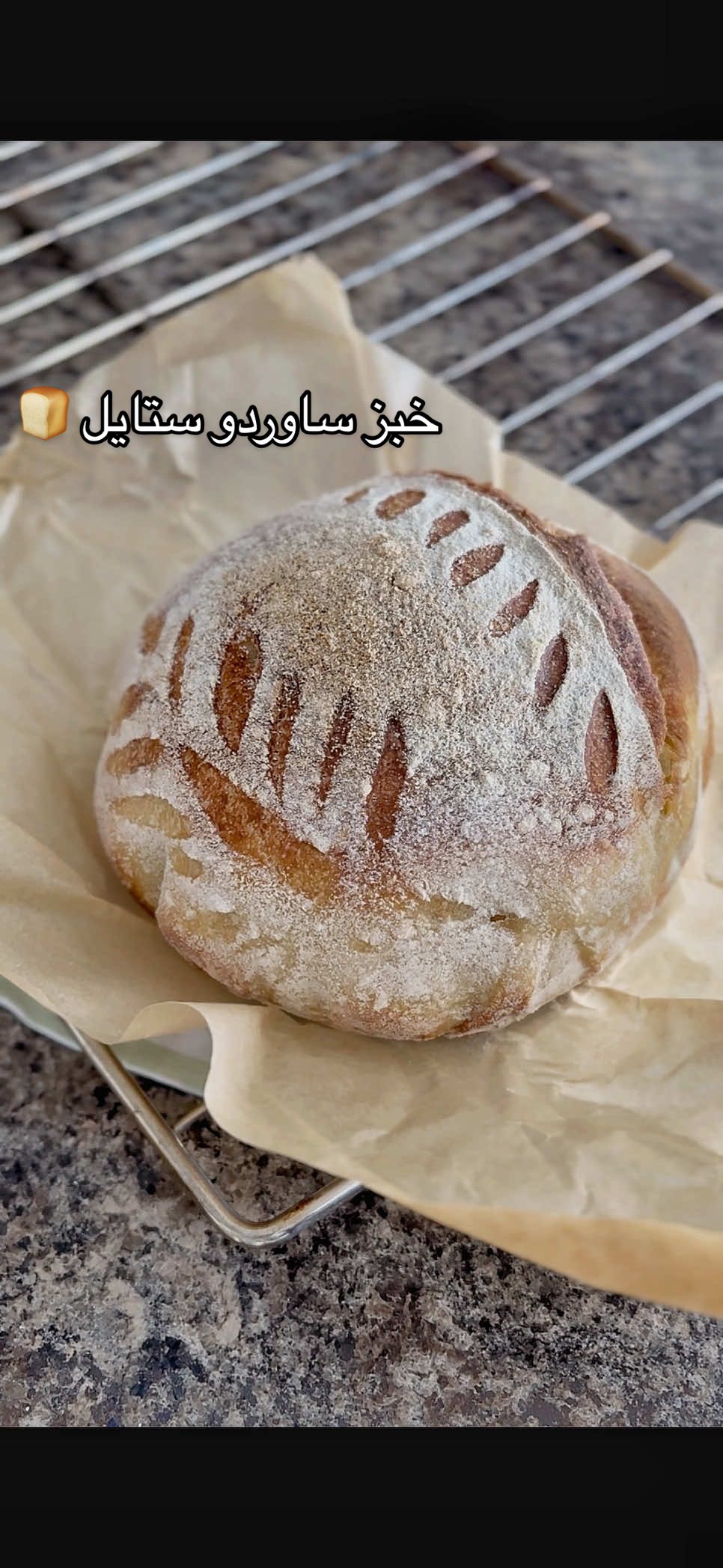 @Ruba Jaradat3