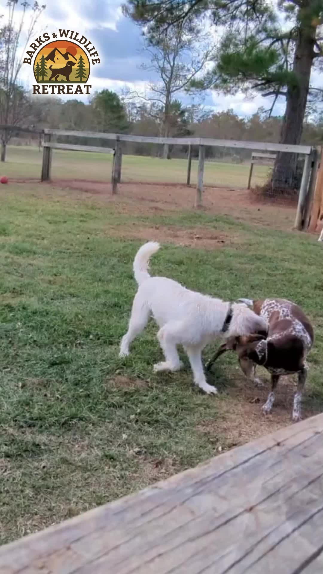 @Barks & Wildlife Longville LA