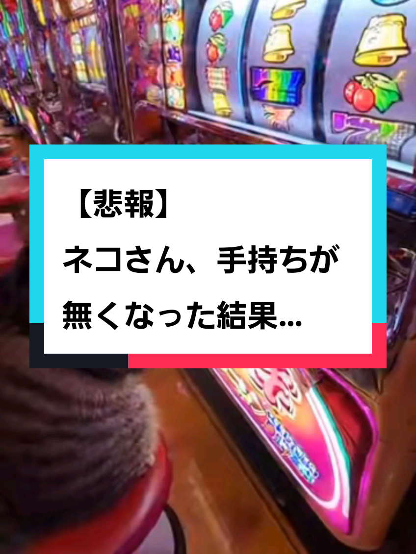 @園長