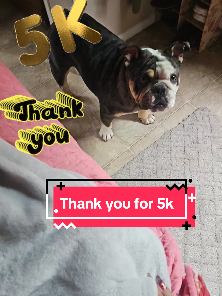 @Sonia&Rosieroo&hearts;️🐾