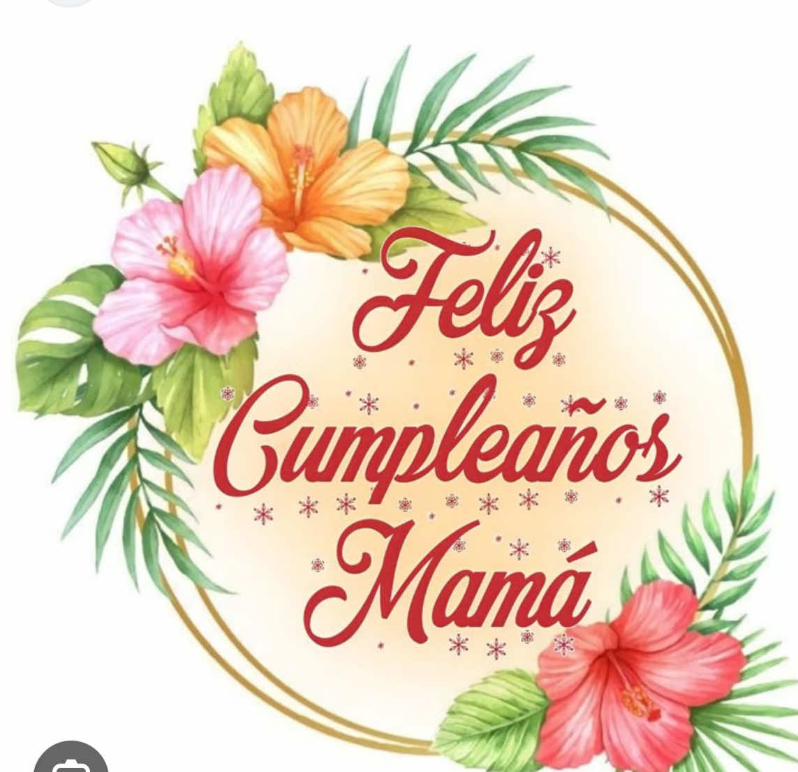 @Esperanza🥰