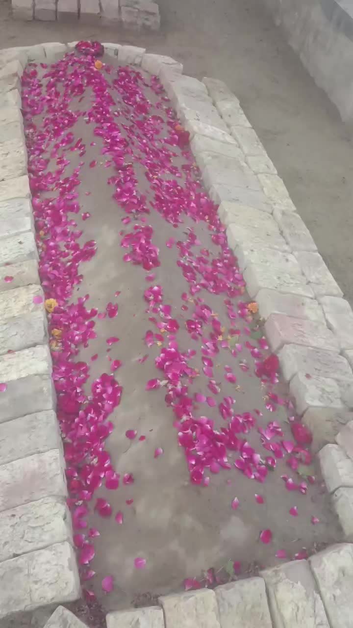 @mujtababhandara22
