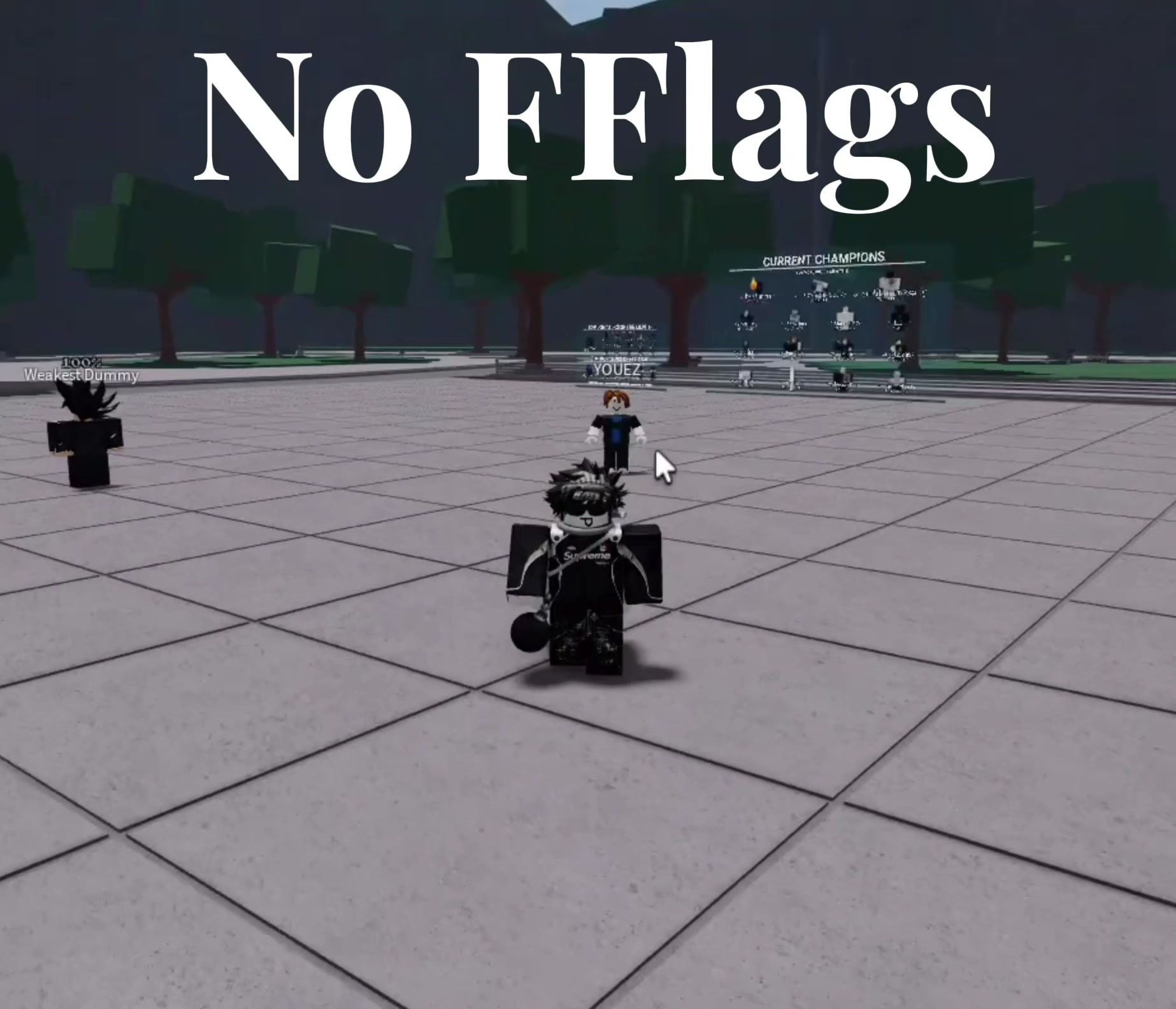No fflags/use fflags #tsb #flags | sugurents (@sugurents)