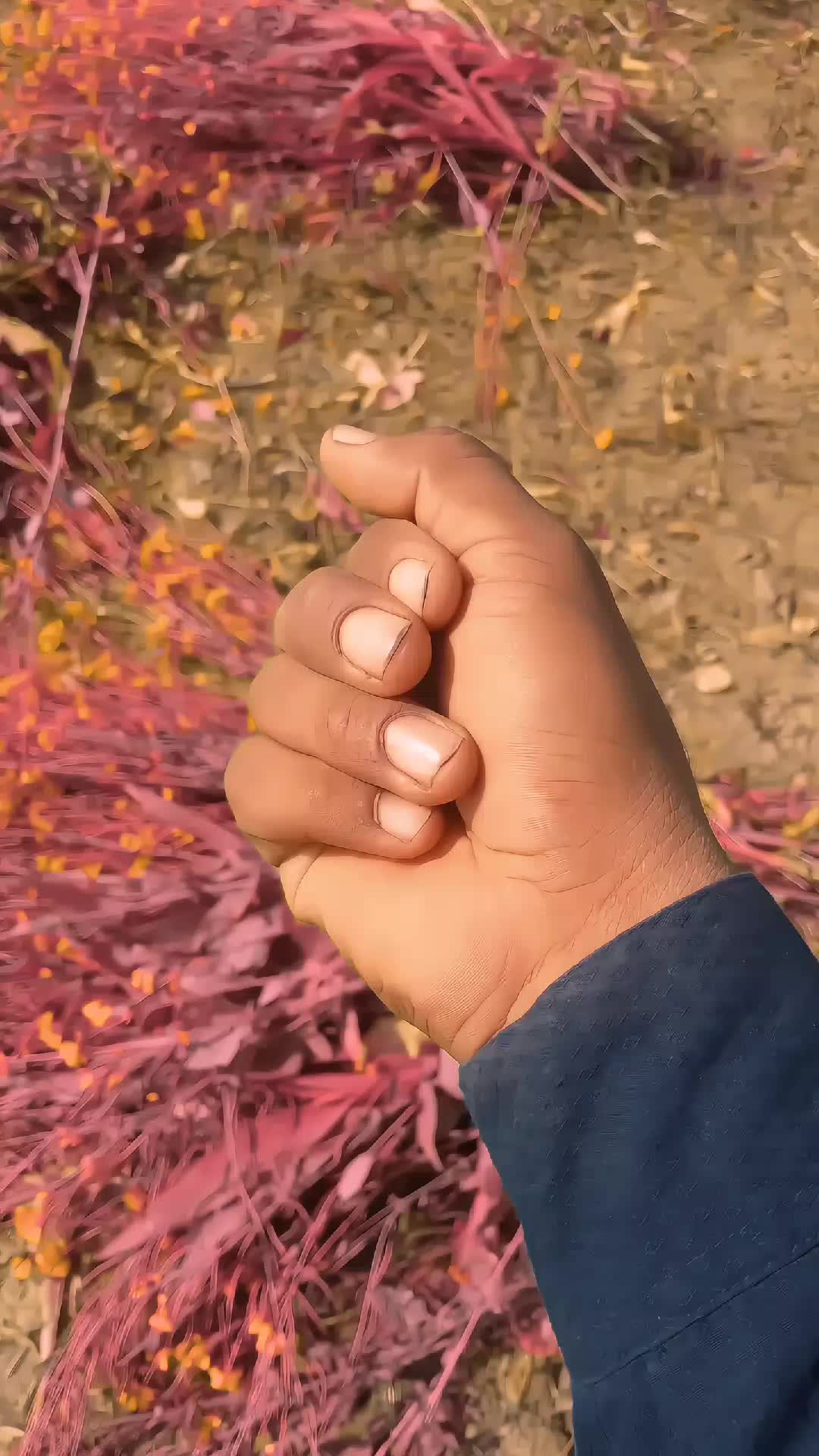 @꧁༒☬🌹💫 𝓐𝓻𝓫𝓪𝔃 𝓫𝓪𝓭𝓼☬༒꧂
