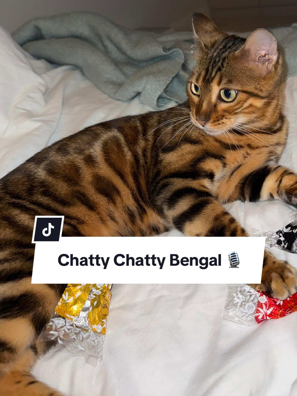 @houseofbengal