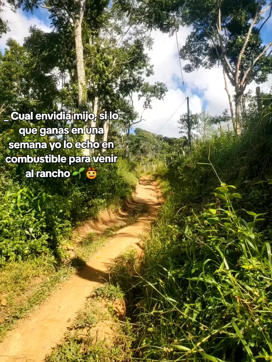 @Fabricio Martinez Pe