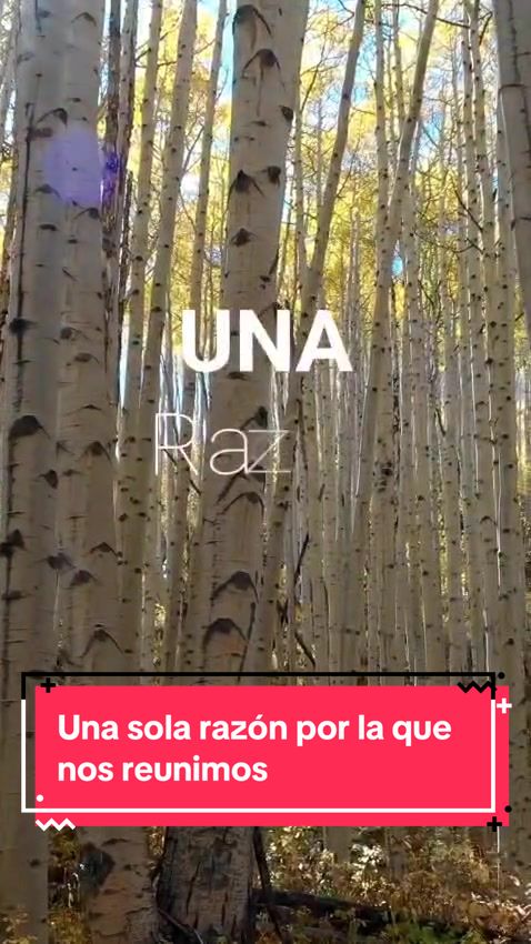 @Gladys Rosado