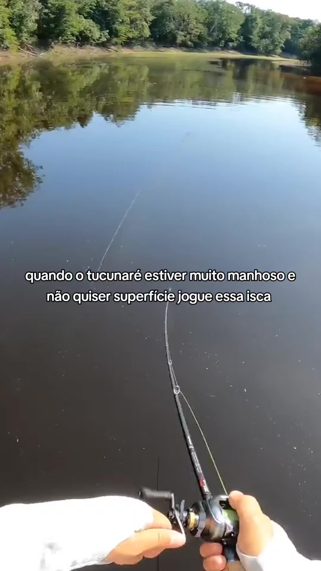 @Pesca Careiro