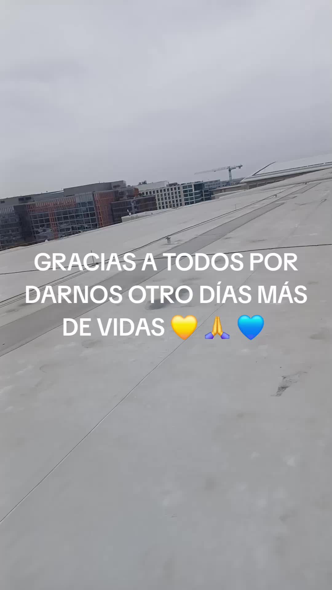 @Isaias Royce