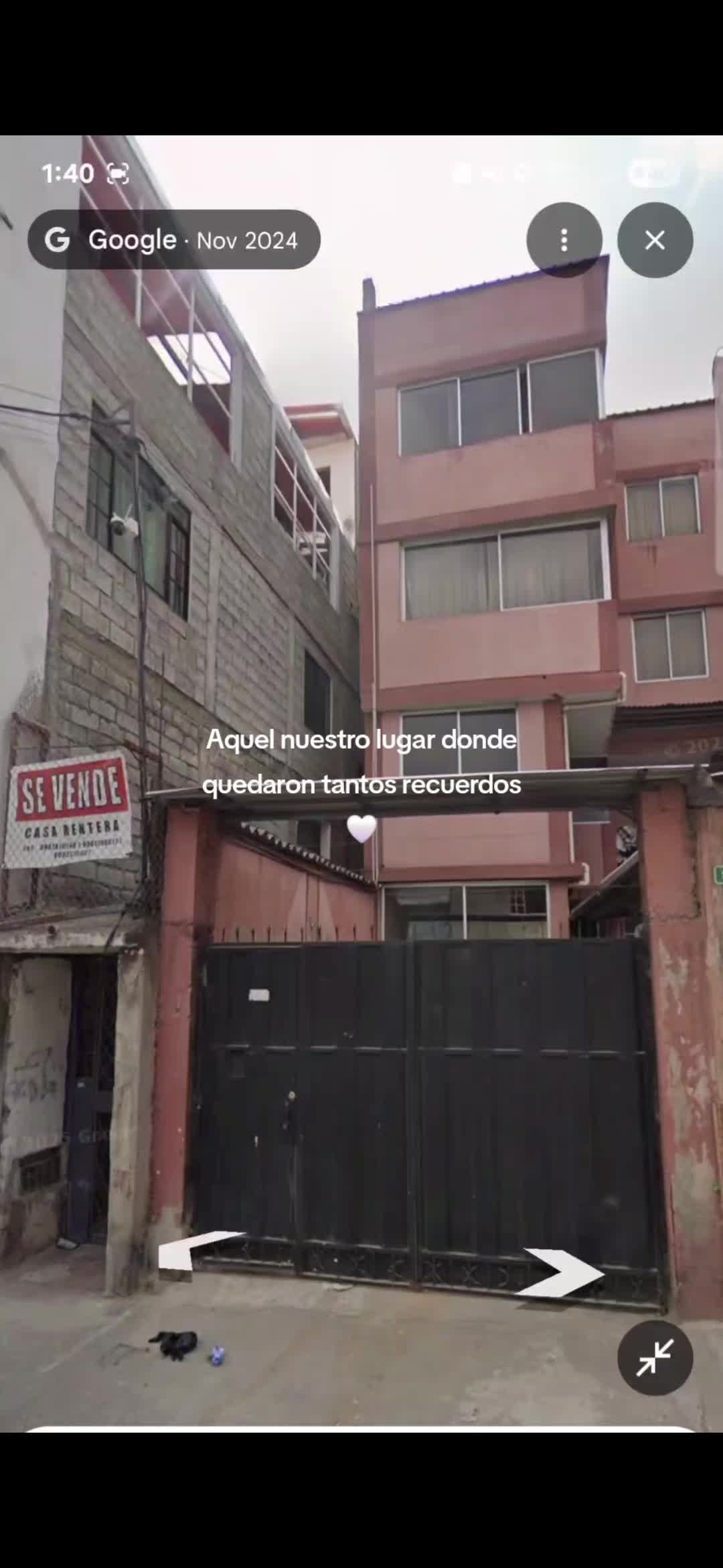 @Neniss 🦥