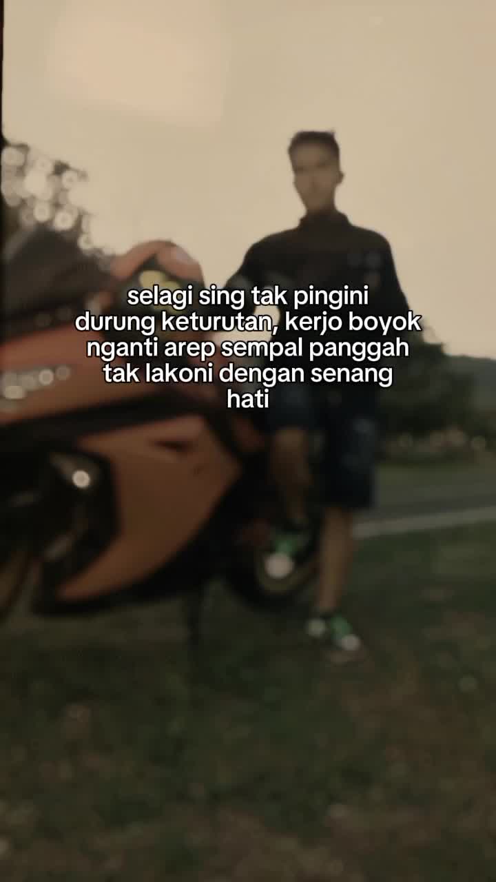 @ari stor