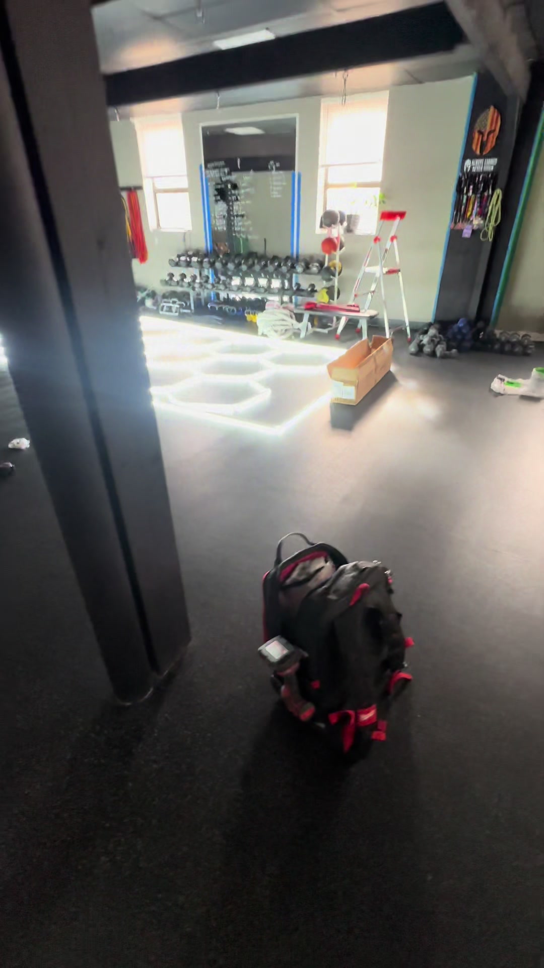 @Freddylive Fitness