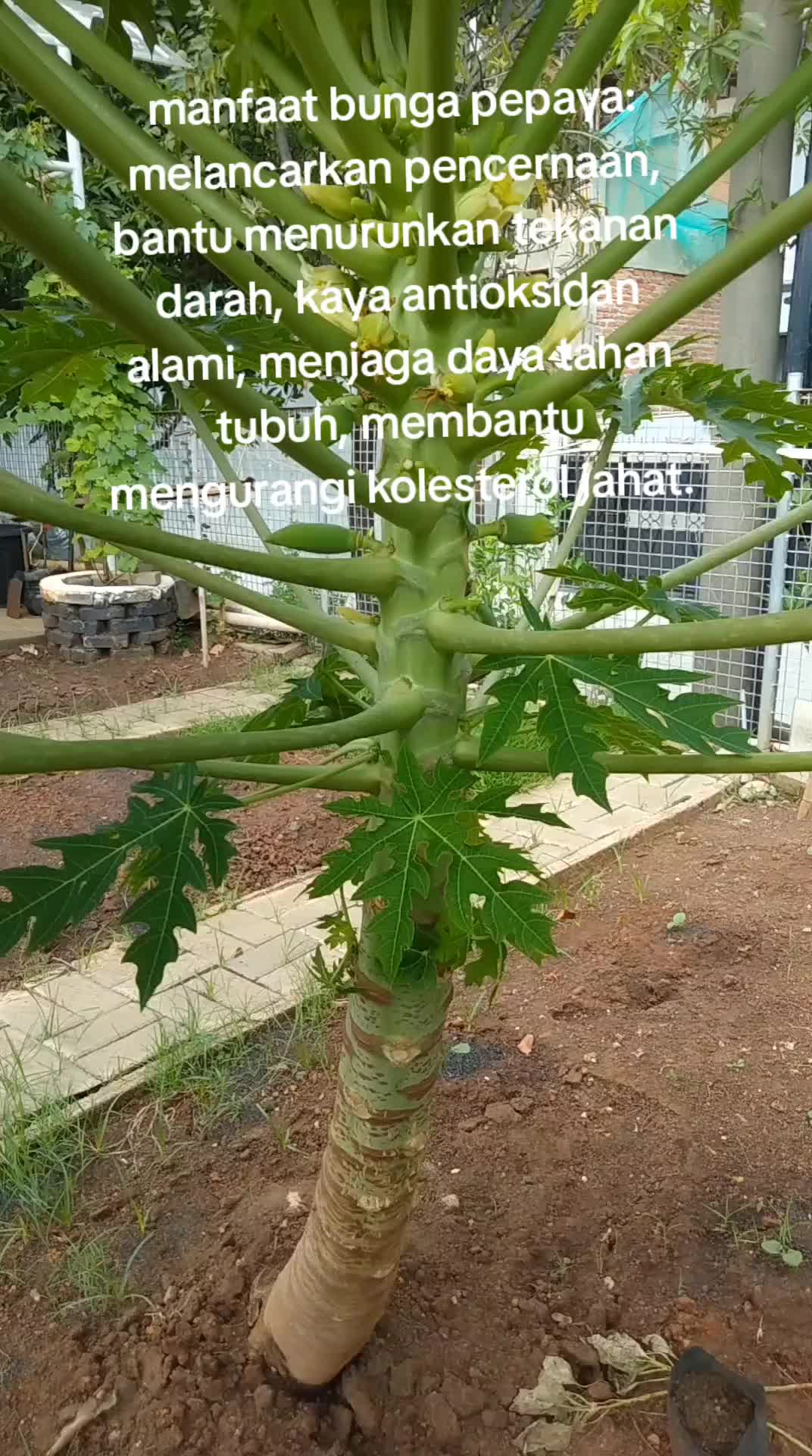 @reny glamur