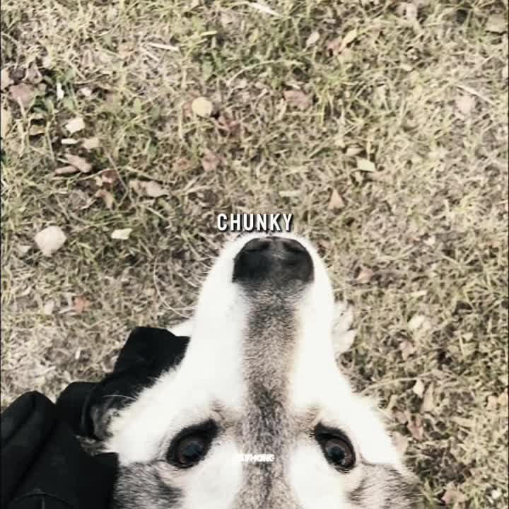 @#вайс