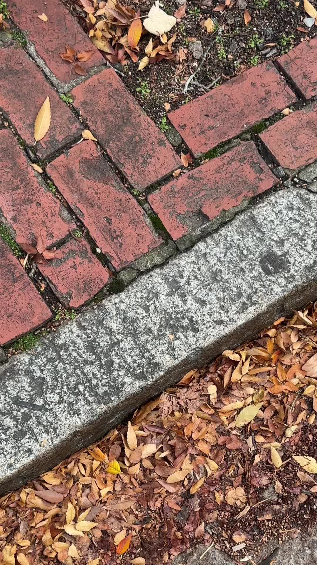 @𝑻𝒉𝒆 𝑫𝒊𝒗𝒊𝒏𝒆 𝑮𝒓𝒐𝒗𝒆