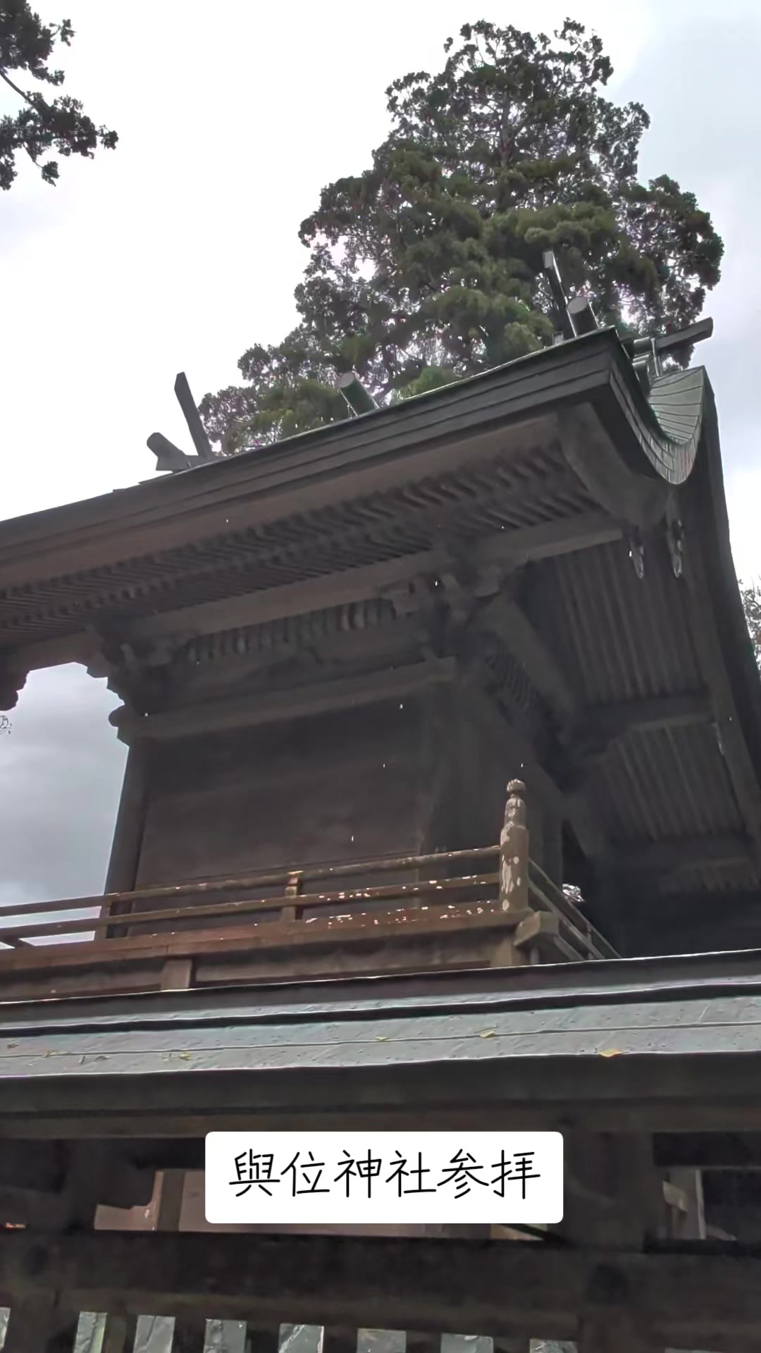 @自由人