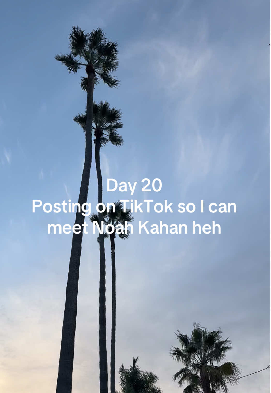 @sharkytheshark4