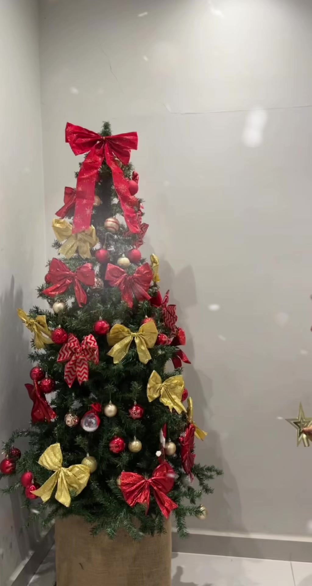 @daymazini
